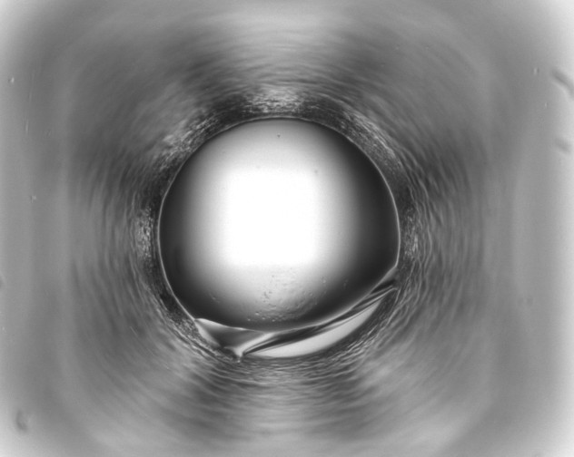 X0000093760604200710301146