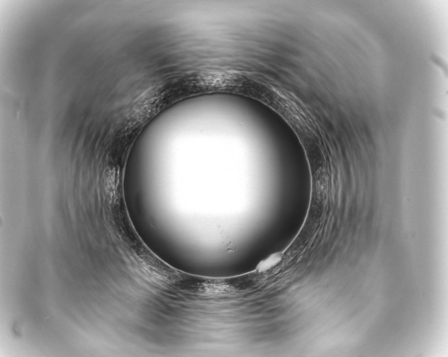 X0000093760605200710301146