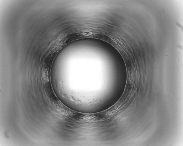 X0000093760606200710301146