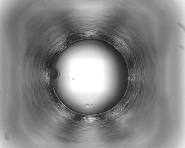 X0000093760607200710301146