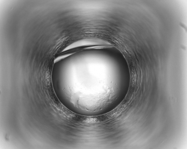 X0000093760609200710301146