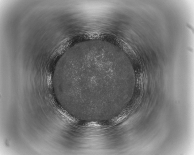 X0000093760610200710301146