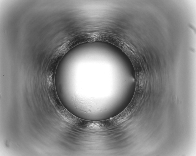 X0000093760611200710301146