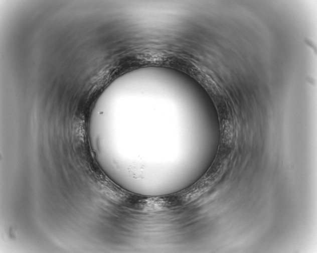 X0000093760612200710301146