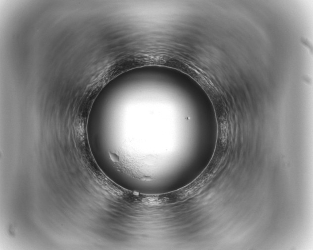 X0000093760613200710301146