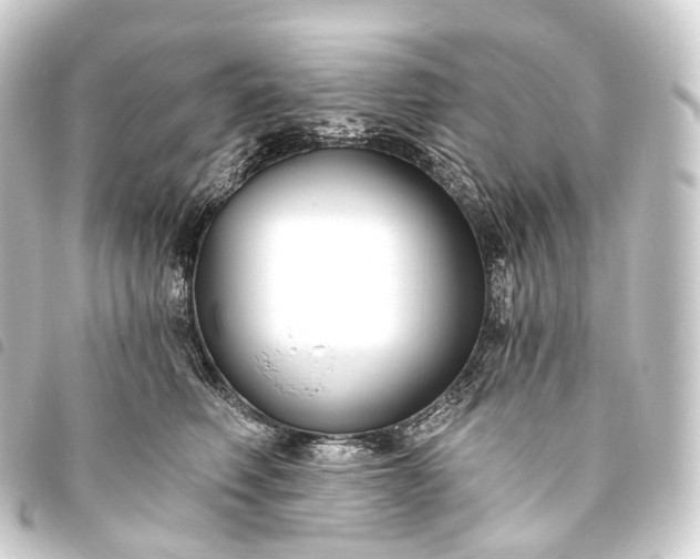 X0000093760614200710301146