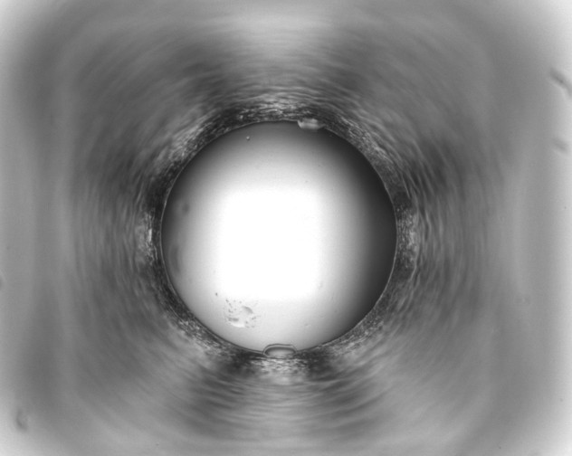 X0000093760615200710301146