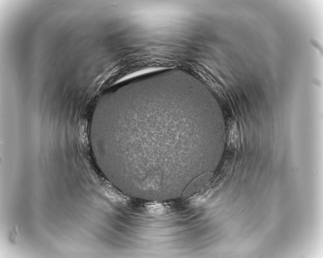 X0000093760616200710301146