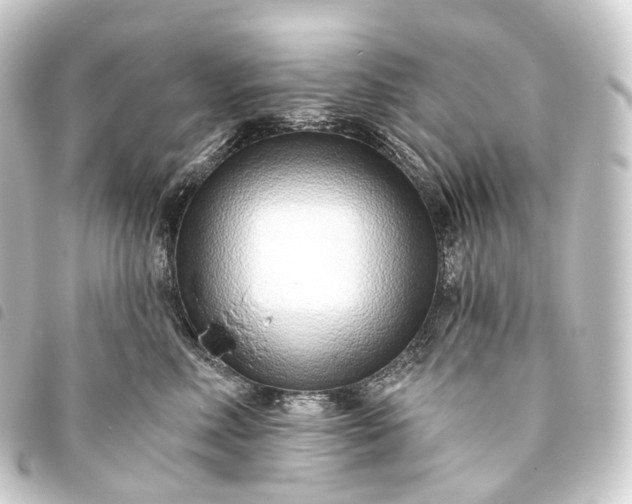 X0000093760618200710301146