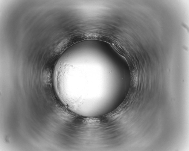 X0000093760619200710301146