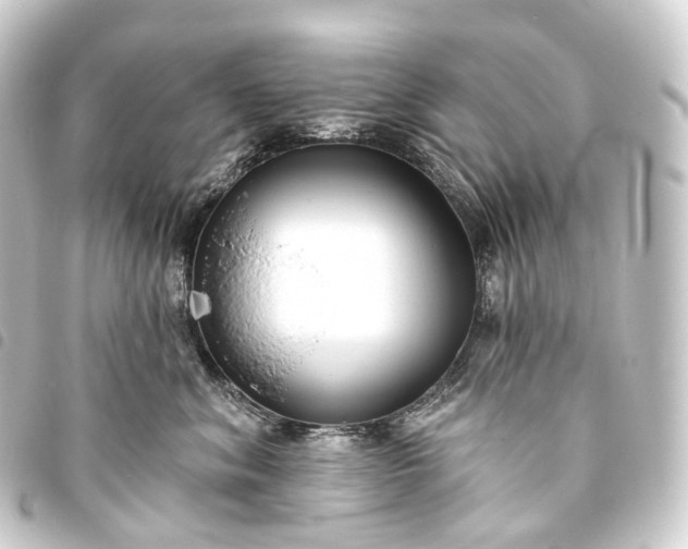 X0000093760620200710301146