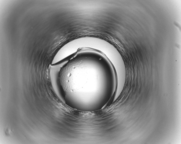 X0000093760621200710301146