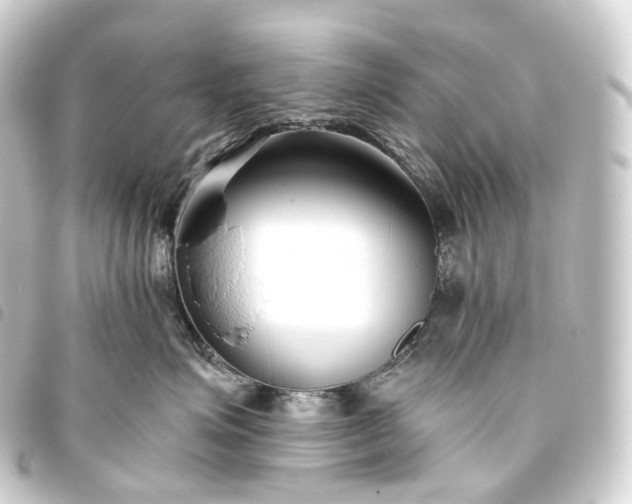 X0000093760623200710301146