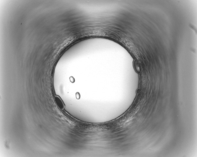 X0000093760625200710301145