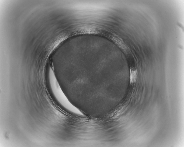 X0000093760627200710301145