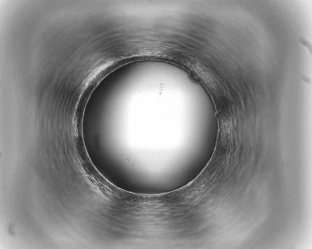 X0000093760628200710301145