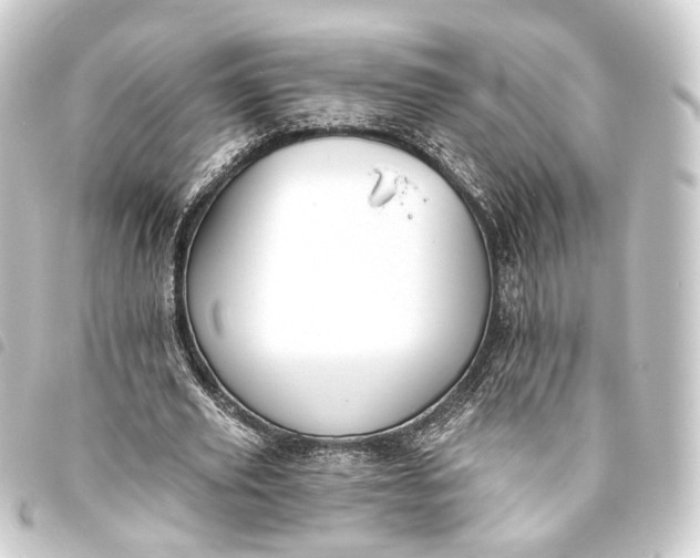 X0000093760629200710301145