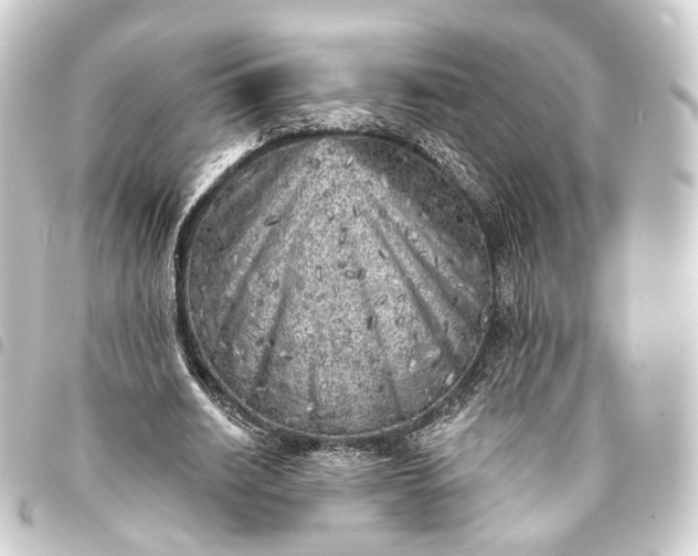 X0000093760630200710301145