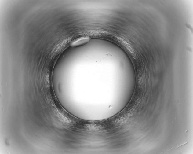 X0000093760633200710301145