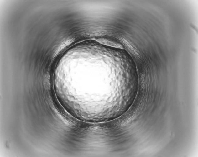 X0000093760634200710301145