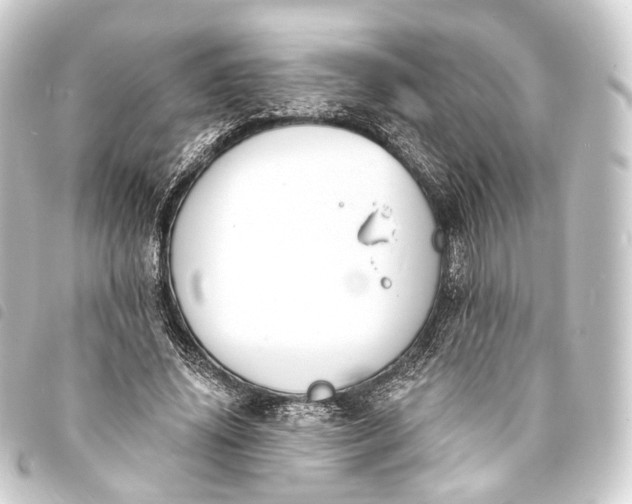 X0000093760636200710301145