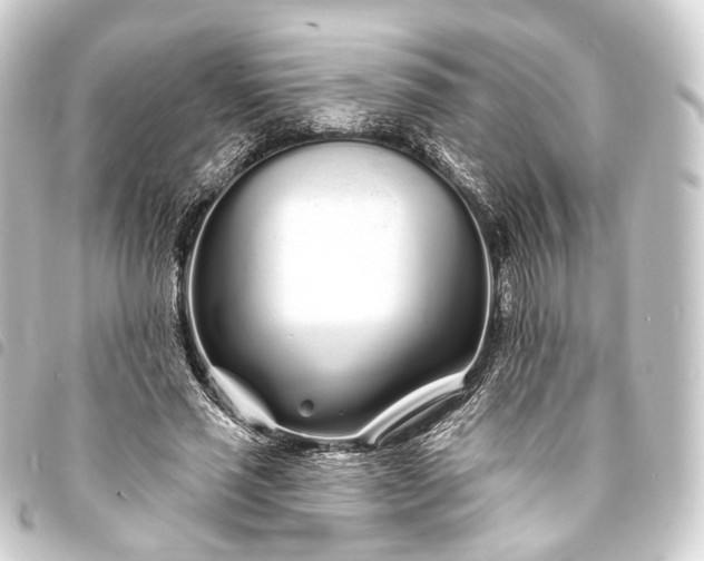 X0000093760637200710301145