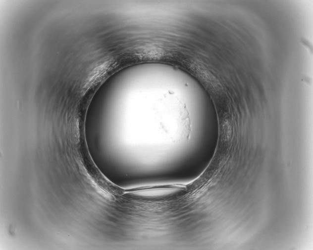 X0000093760638200710301145