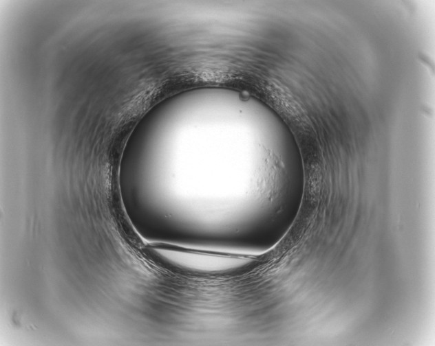 X0000093760639200710301145