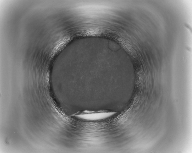 X0000093760640200710301145