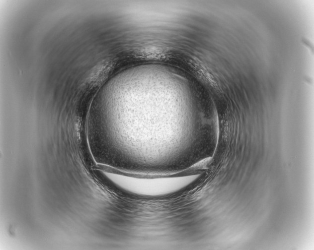 X0000093760643200710301145