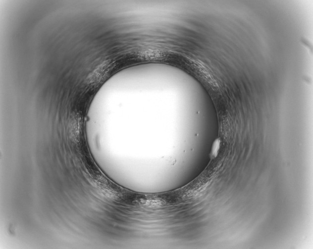 X0000093760645200710301145