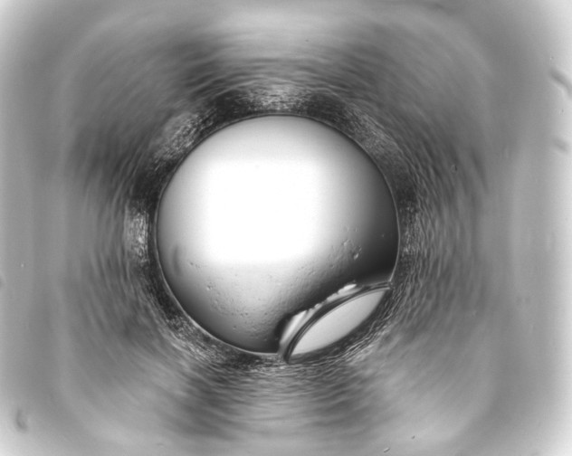 X0000093760646200710301145