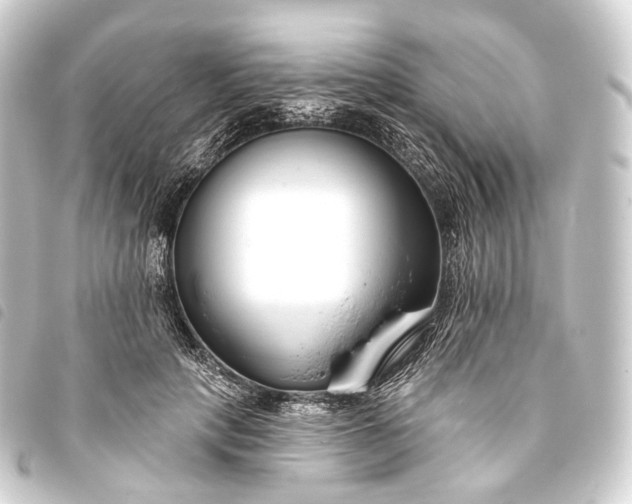 X0000093760649200710301145