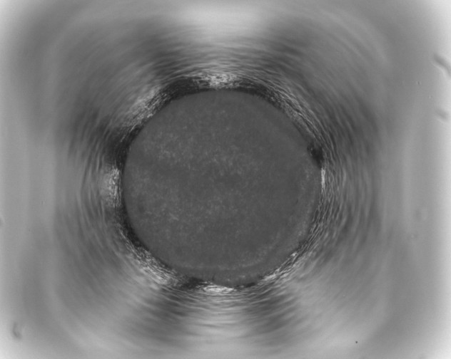 X0000093760650200710301145