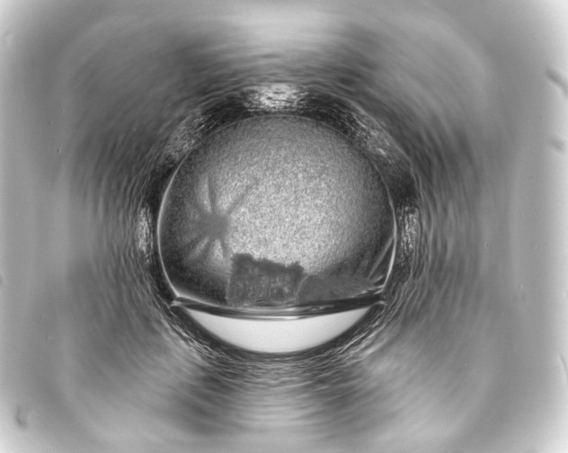 X0000093760651200710301145