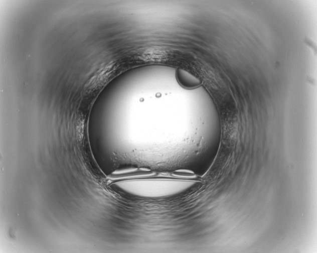 X0000093760652200710301145