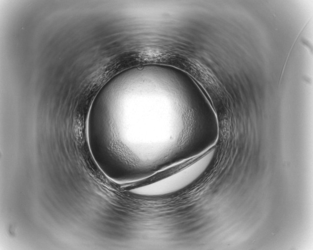 X0000093760653200710301145