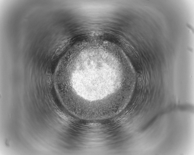 X0000093760654200710301145