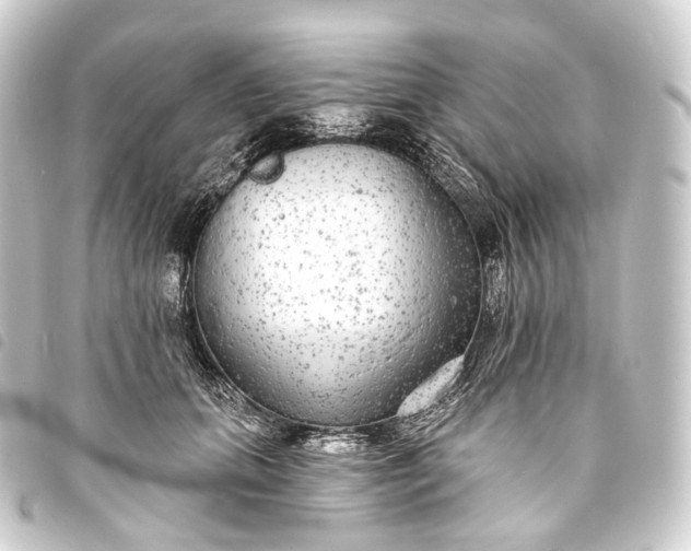 X0000093760655200710301145