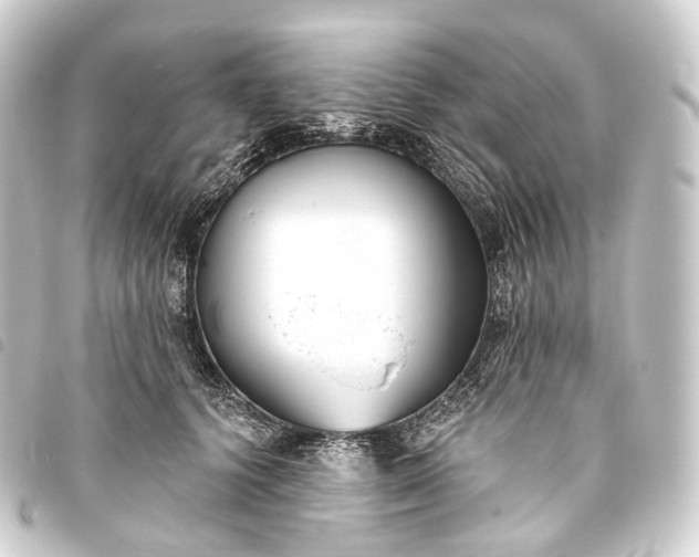 X0000093760656200710301145