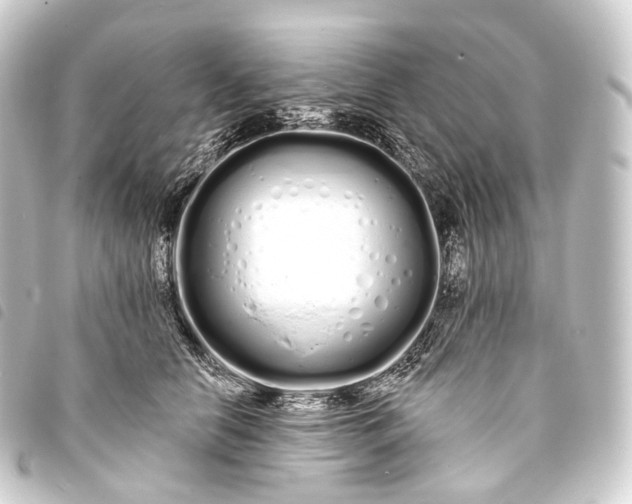 X0000093760658200710301145