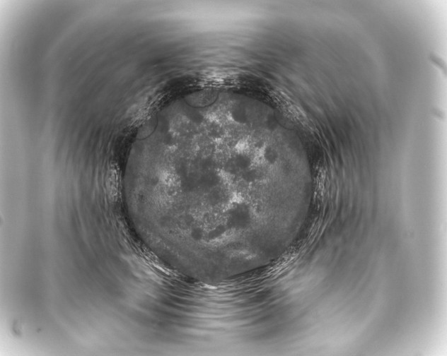 X0000093760659200710301145