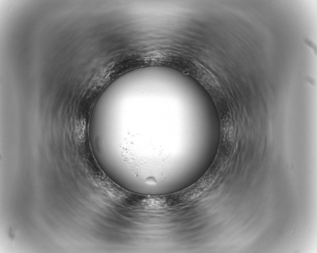 X0000093760660200710301145