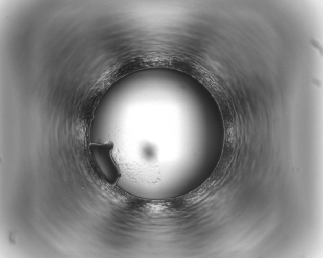 X0000093760662200710301145