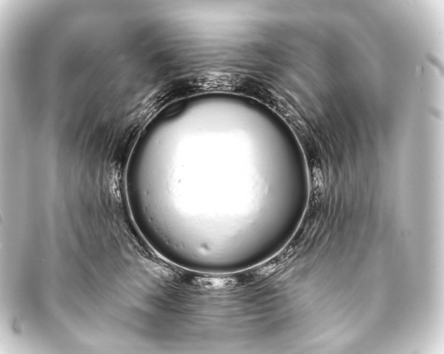 X0000093760663200710301145