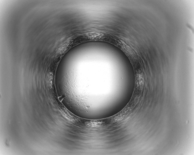 X0000093760664200710301145