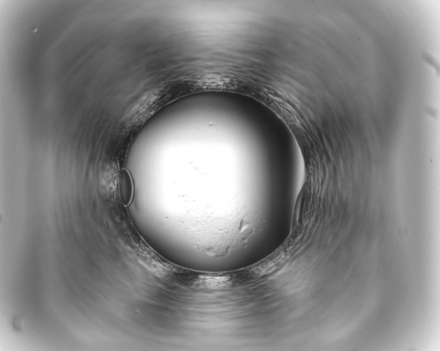 X0000093760665200710301145