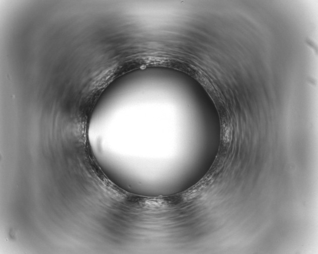 X0000093760666200710301145