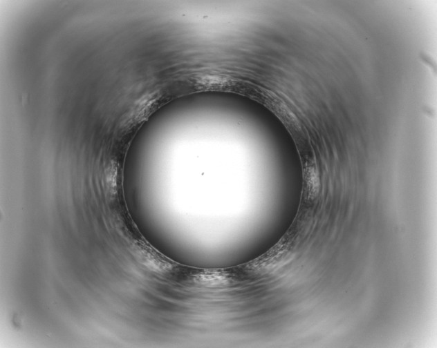 X0000093760668200710301145