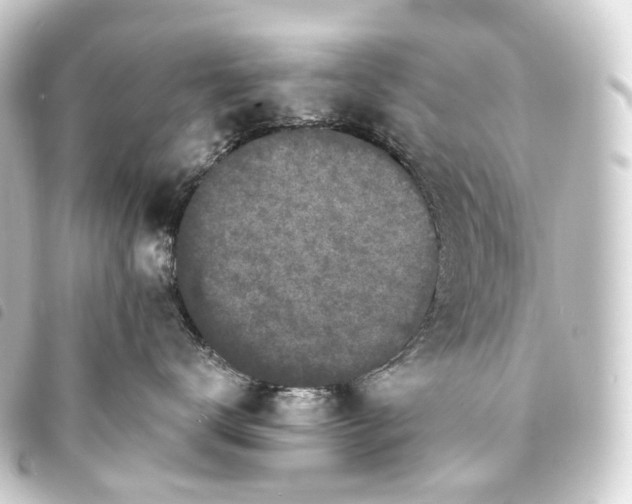 X0000093760672200710301145